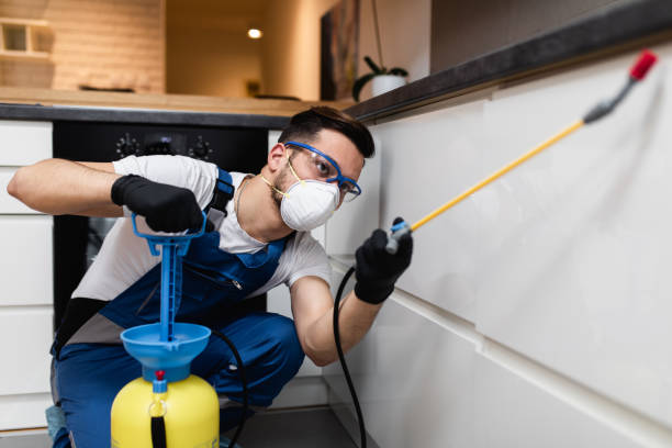 Best Emergency Pest Control  in Pasatiempo, CA