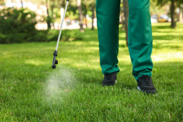 Best Pest Inspection Near Me  in Pasatiempo, CA