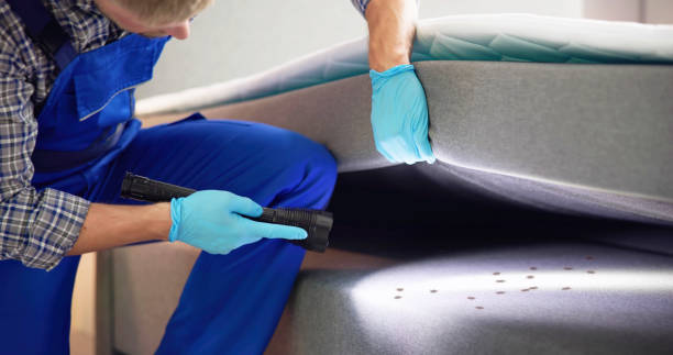 Best Wasp Removal Services  in Pasatiempo, CA
