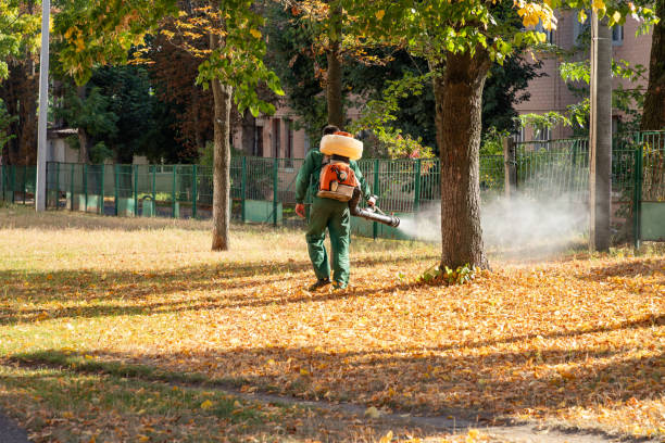 Reliable Pasatiempo, CA Pest Control Solutions