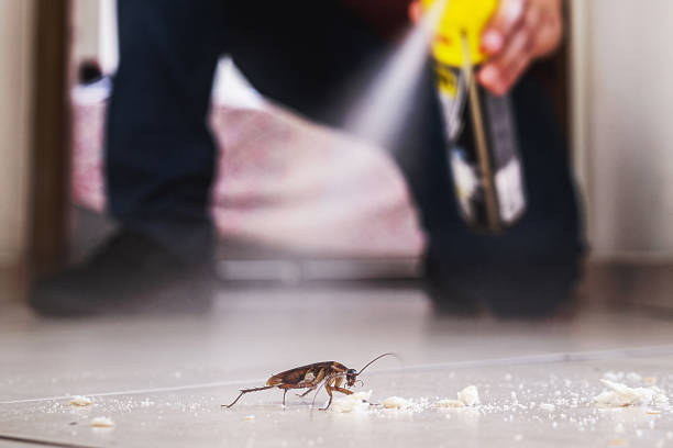 Best Best Pest Control Companies  in Pasatiempo, CA